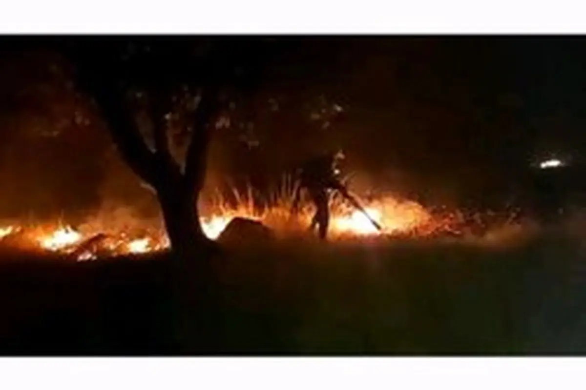 پنج آتش سوزی در جنگل‌های کهگیلویه و بویراحمد مهار شد
