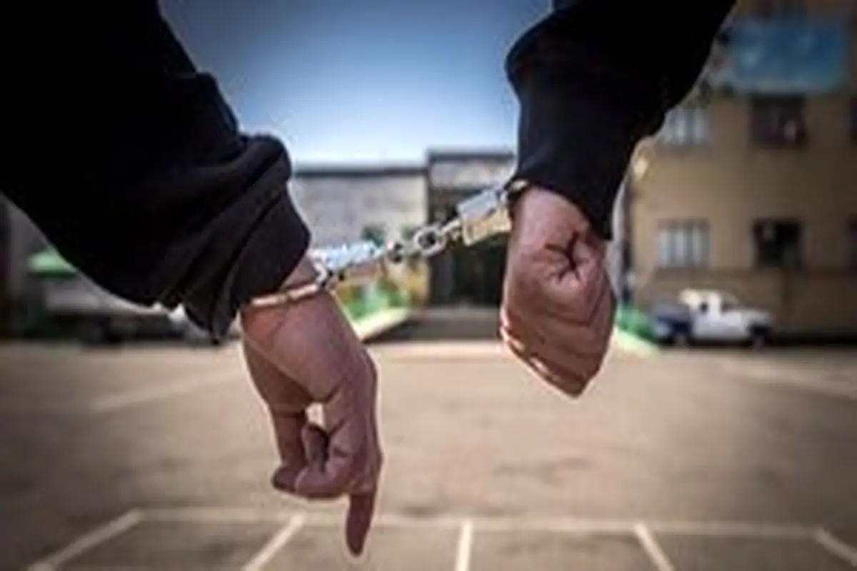 استرداد کلاهبردار ۳۰ میلیاردی به کشور