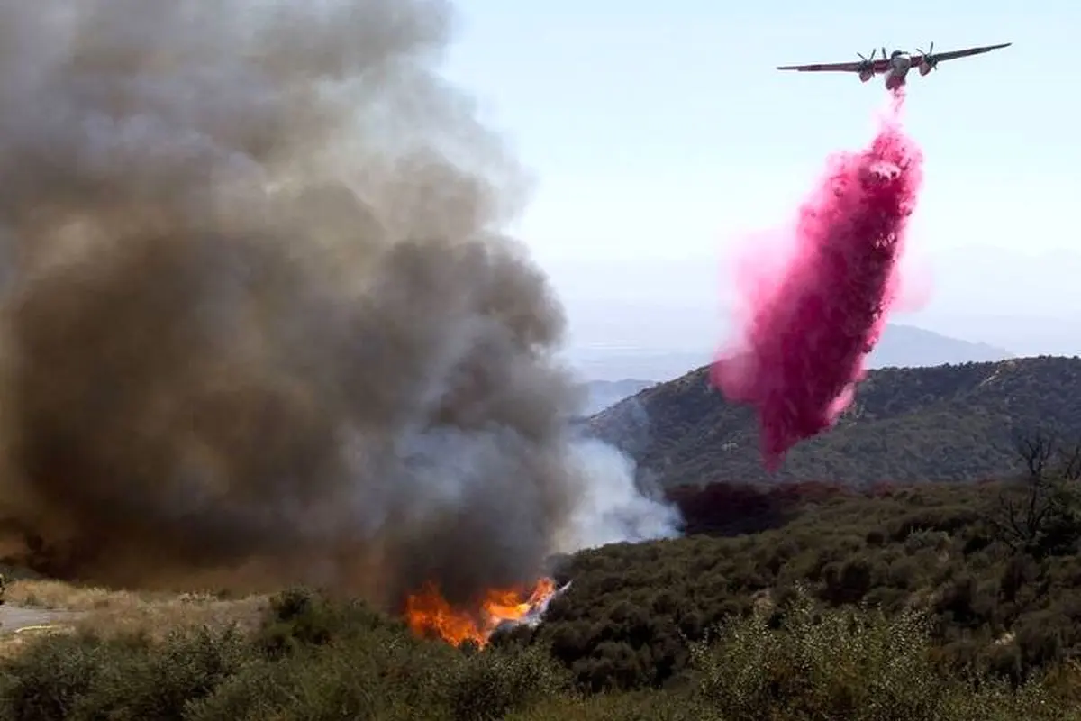 کالیفرنیا غرق در جهنم آتش و دود+فیلم