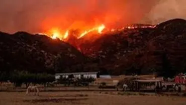 کالیفرنیا در میان تهدید آتش و سرقت