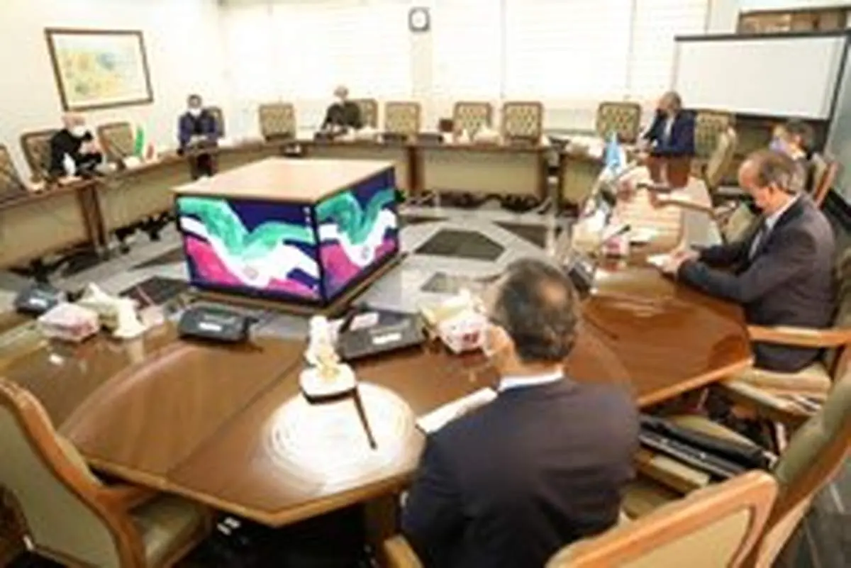 صالحی: امیدواریم نتیجه سفر مدیرکل آژانس «مرضی الطرفین» باشد/ گروسی: دستور کار گستردهای داریم
