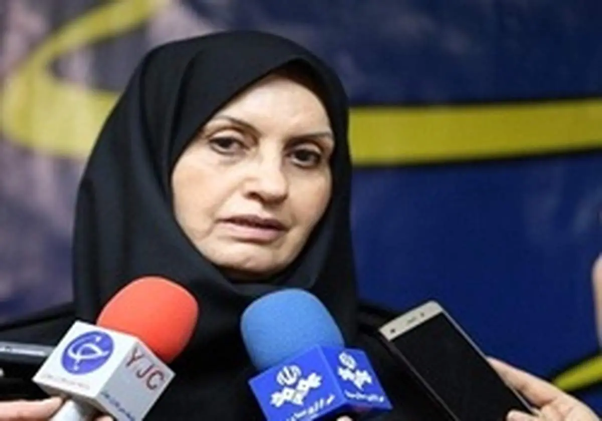 پیروزبخت: صاحبان مشاغل خانگی و تولیدات غیرکشاورزی زیر چتر استاندارد قرار میگیرند