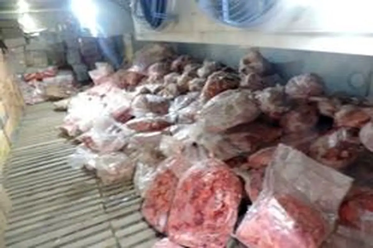 ۹۰ تن گوشت فاسد در تهران کشف شد