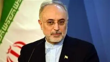 صالحی: ملاحظات اصولی ایران در بیانیه مشترک با آژانس در نظر گرفته شد