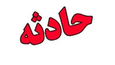 ۹ گردشگر گمشده در جنگل بندرگز نجات یافتند