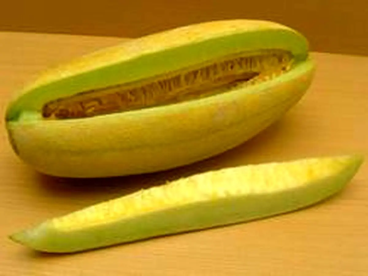 خواص و مضرات مصرف خربزه