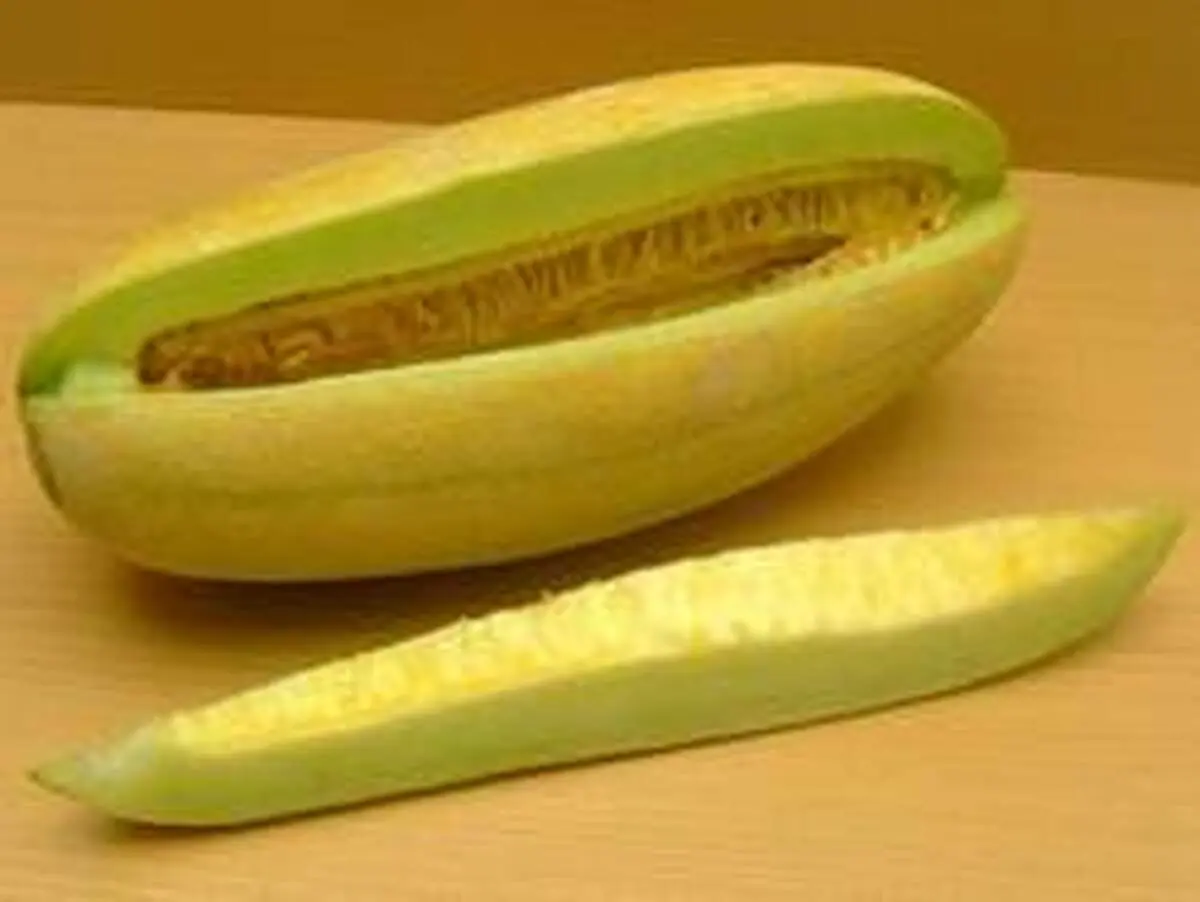 خواص و مضرات مصرف خربزه