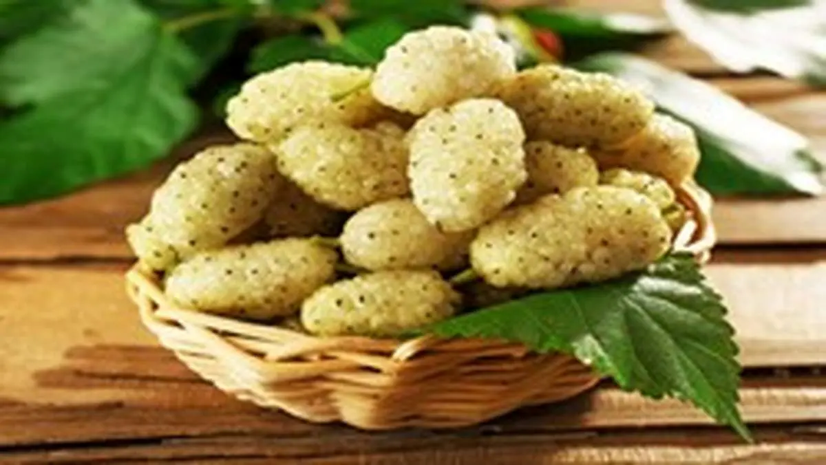 خواص و مضرات مصرف توت سفید