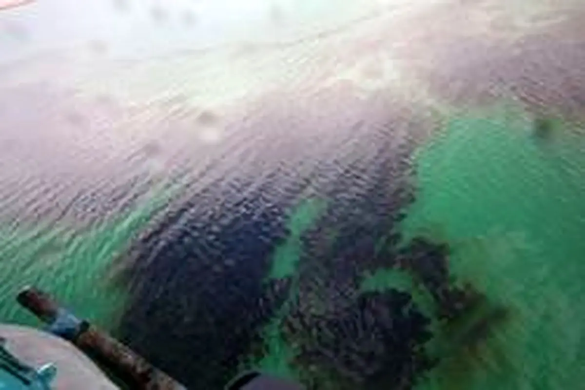 تدوین برنامه‌ای برای جلوگیری از آلودگی نفتی دریایی