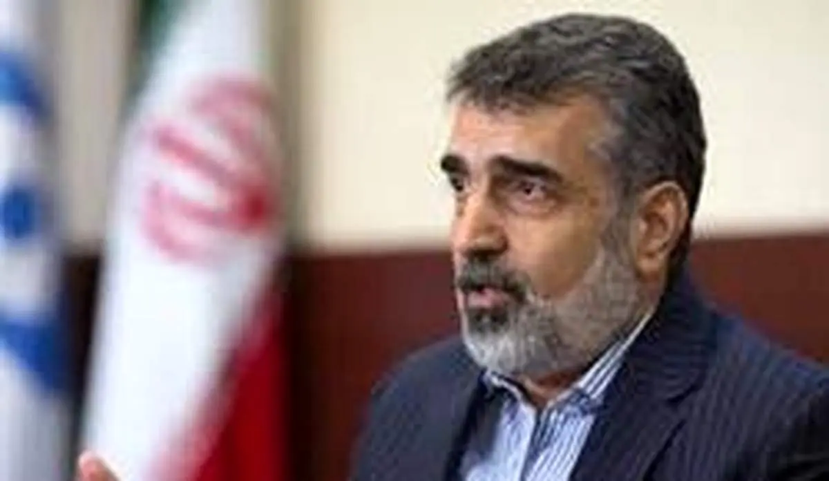 سخنگوی سازمان انرژی اتمی: سالانه به طور متوسط ۴ تن کیک زرد تولید می‌کردیم