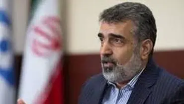 سخنگوی سازمان انرژی اتمی: سالانه به طور متوسط ۴ تن کیک زرد تولید می‌کردیم