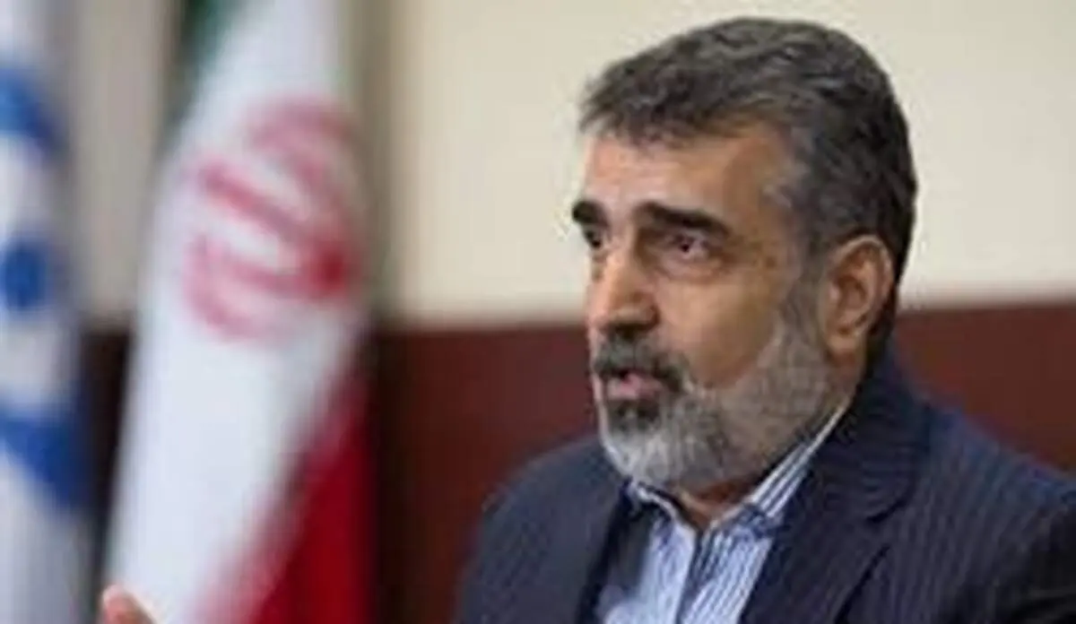 سخنگوی سازمان انرژی اتمی: سالانه به طور متوسط ۴ تن کیک زرد تولید می‌کردیم