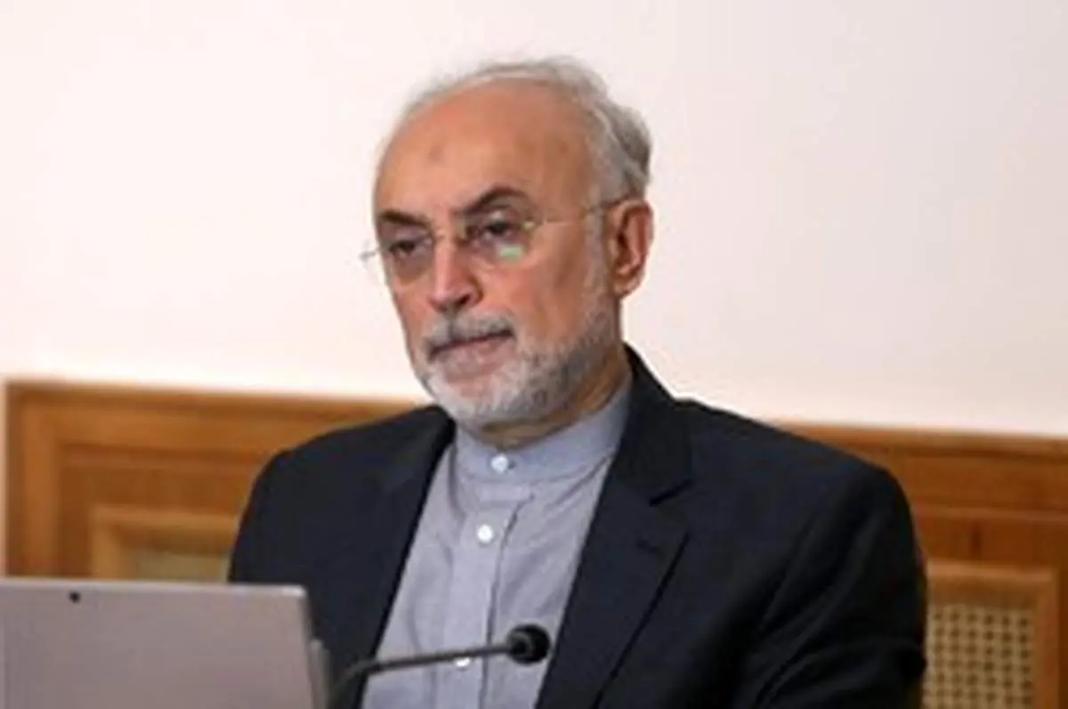 صالحی: شورای عالی امنیت ملی درباره عوامل خرابکاری حادثه نطنز نظر می‌دهد