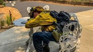 عکس‌های برگزیده روز