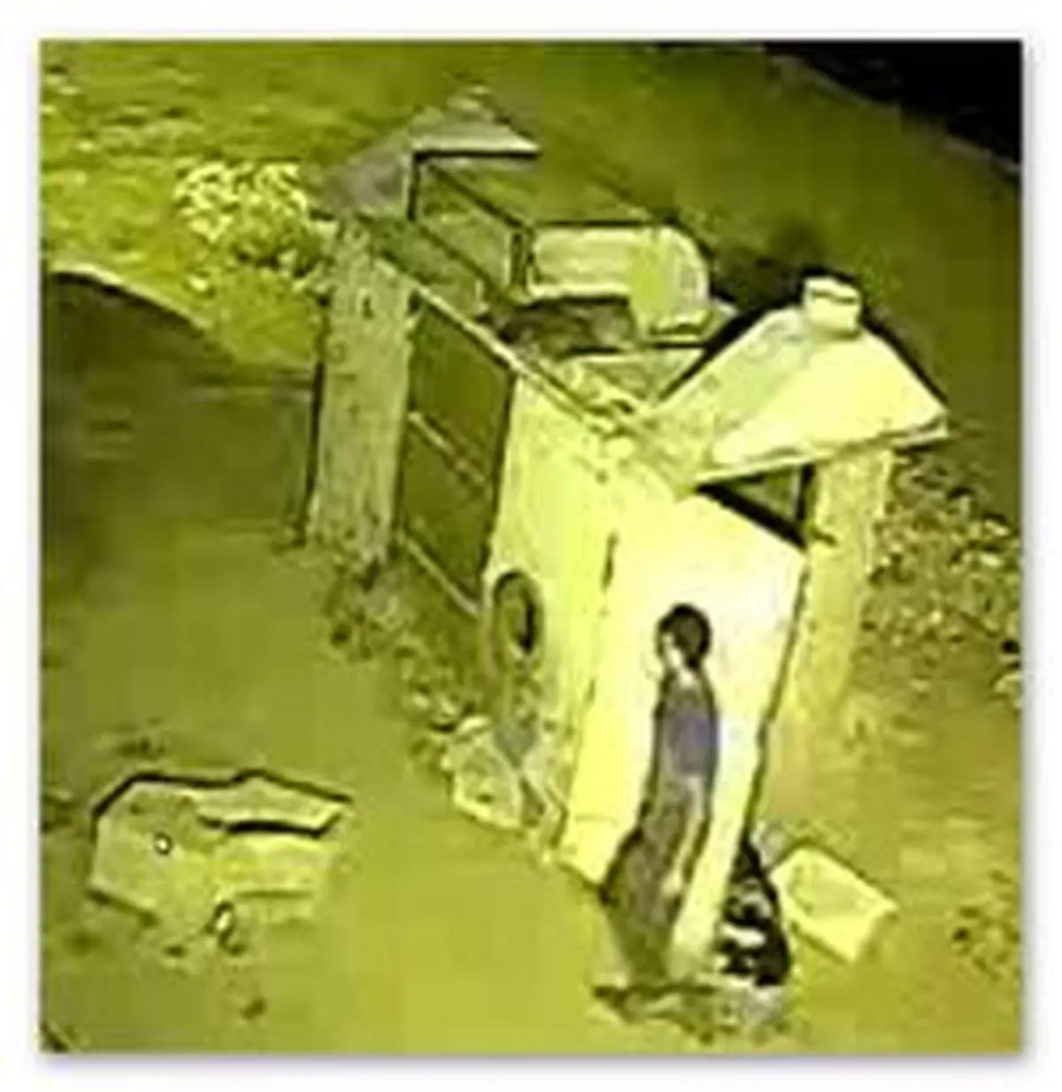 قتل زن جوان هنگام استعمال مواد مخدر /تهرانی ها قاتل را شناسایی کنید + عکس