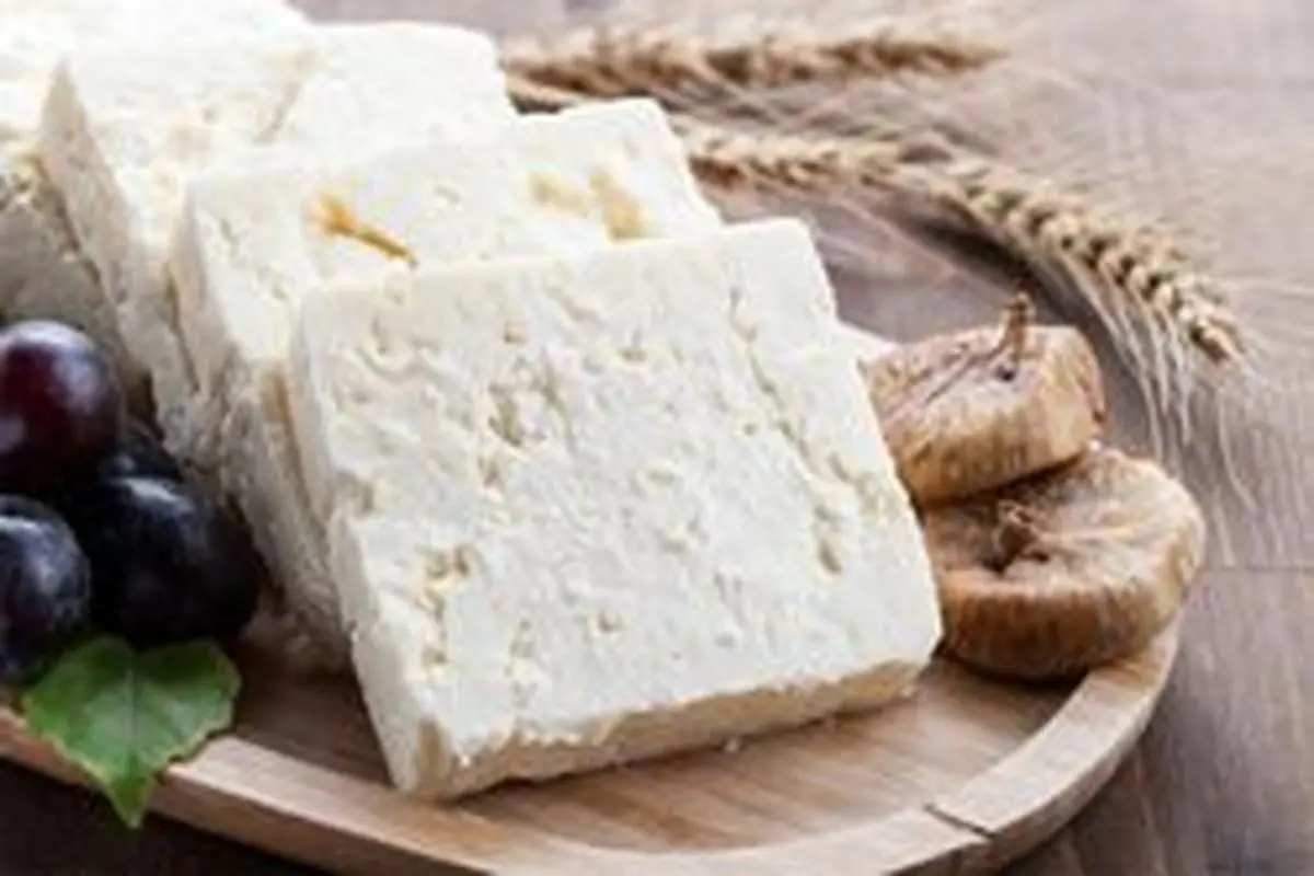 تفاوت‌های پنیر فتا و لبنه چیست؟