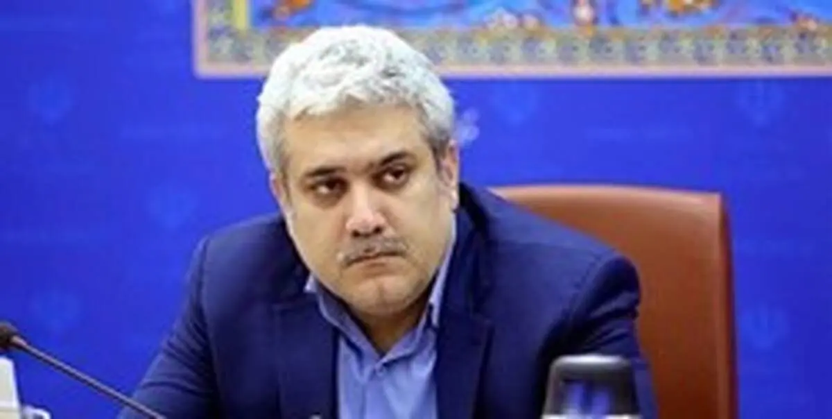 ستاری: روی سیاست‌های بازگشت نخبگان کار می‌کنیم
