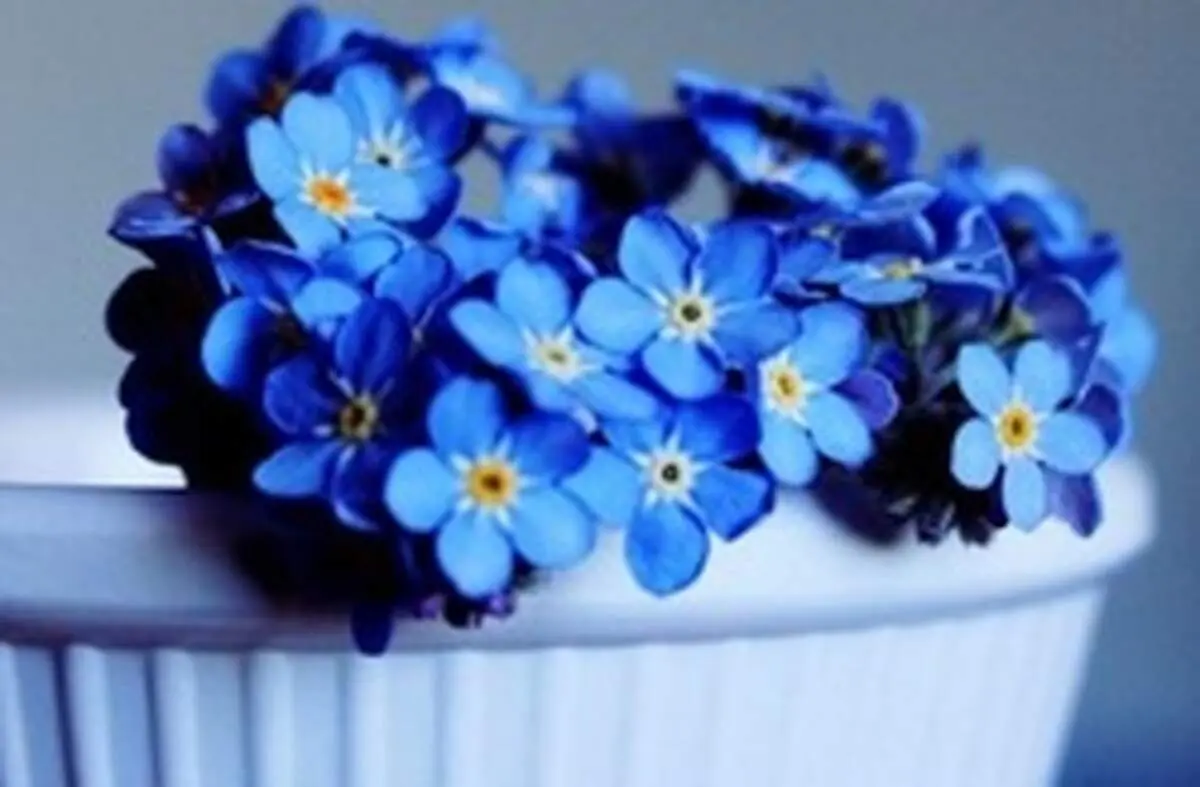 خاصیت های درمانی و جالب رنگ آبی