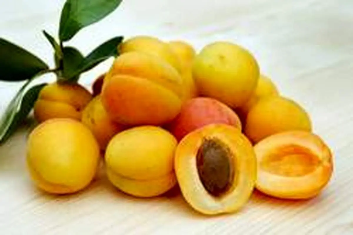 مضرات و خواص مصرف زردآلو