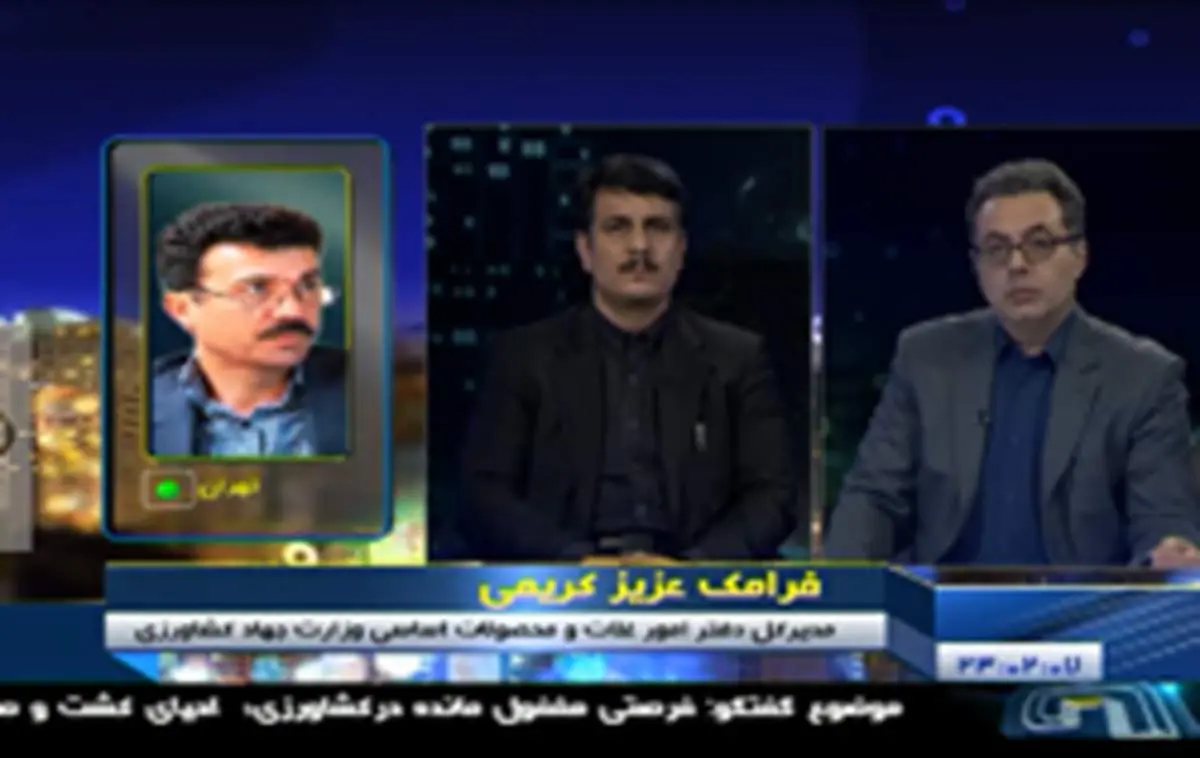بحث داغ واردات تا صادرات نخود / «نخود» قابلیت صادرات پیدا کرد!