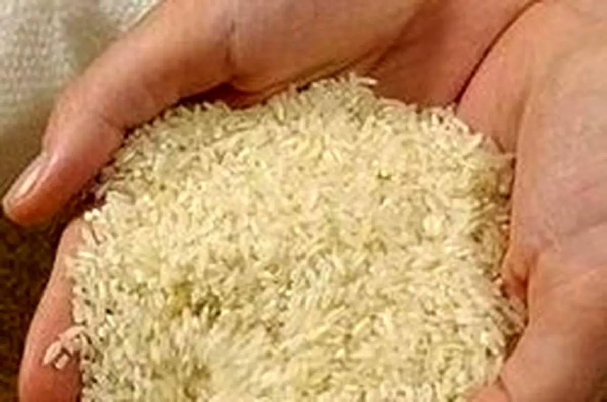 ترخیص ۴۹۷ هزار تن برنج وارداتی از گمرکات کشور