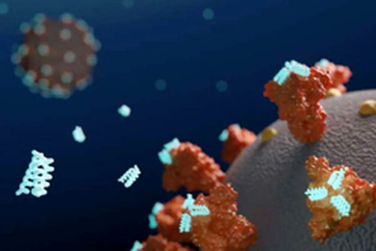 پروتیین‌های مصنوعی ویروس کرونا را مهار می‌کنند