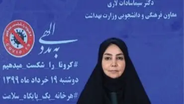 لاری: وزارت بهداشت هیچ مخالفتی با طب سنتی ندارد
