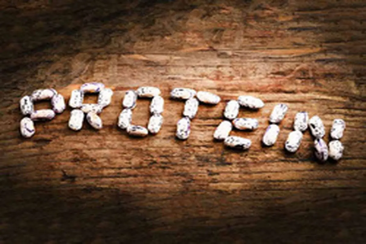 عواقب کمبود پروتئین در بدن