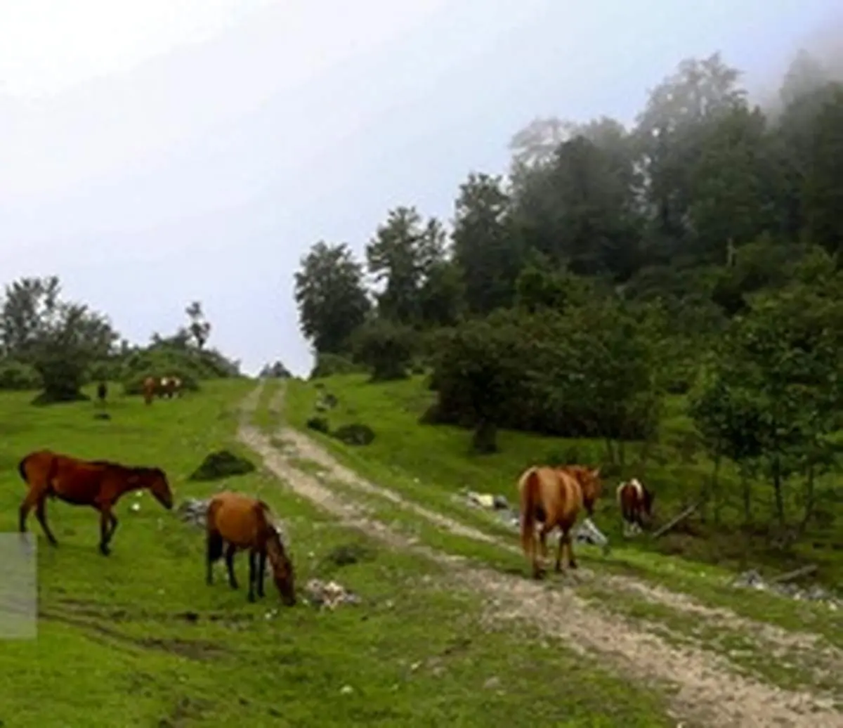 ییلاقات زیبای اولسبلنگاه