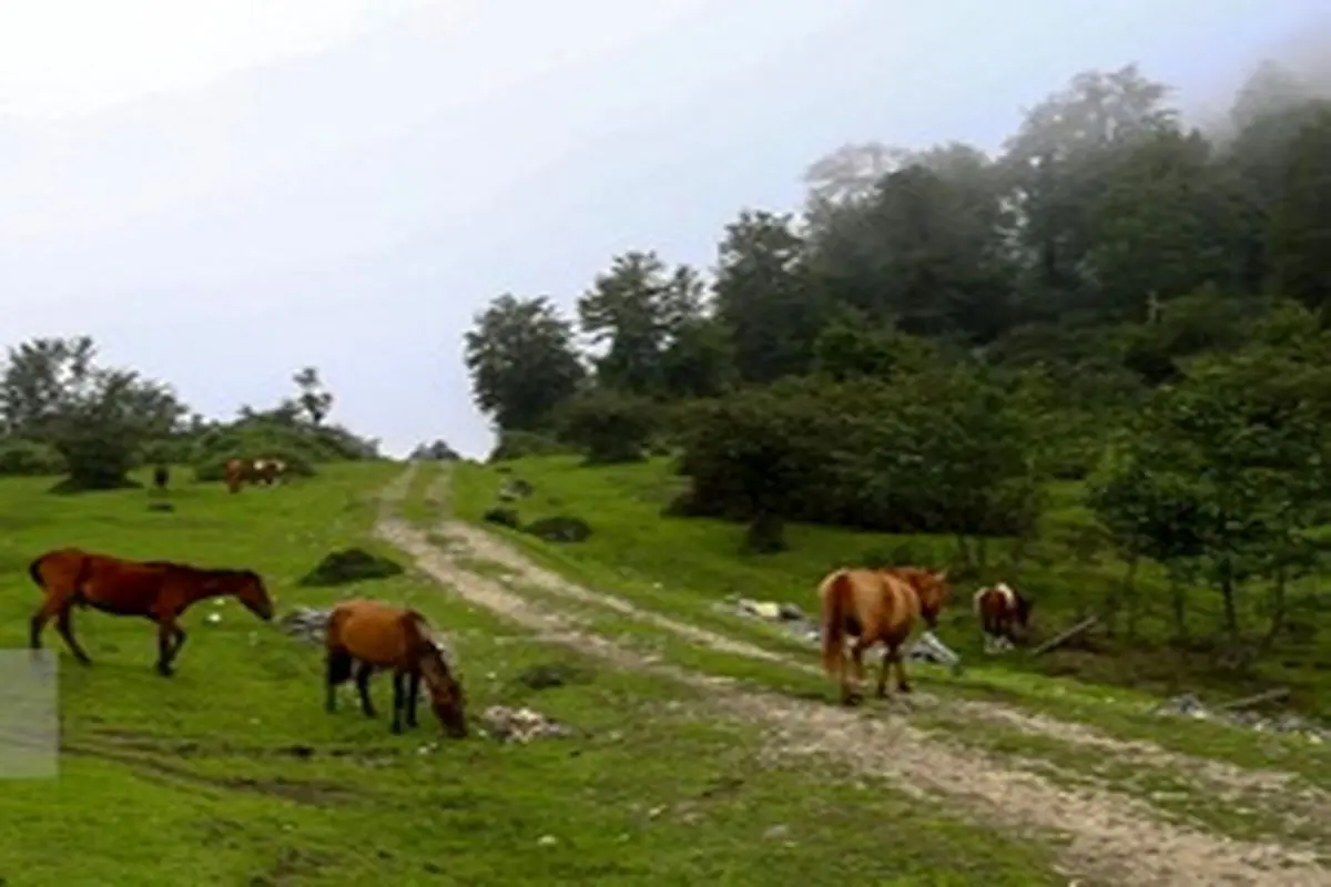 ییلاقات زیبای اولسبلنگاه