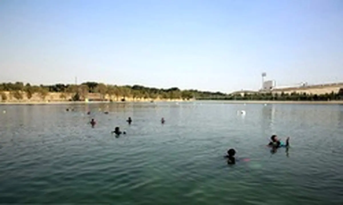 پاکسازی دریاچه آزادی