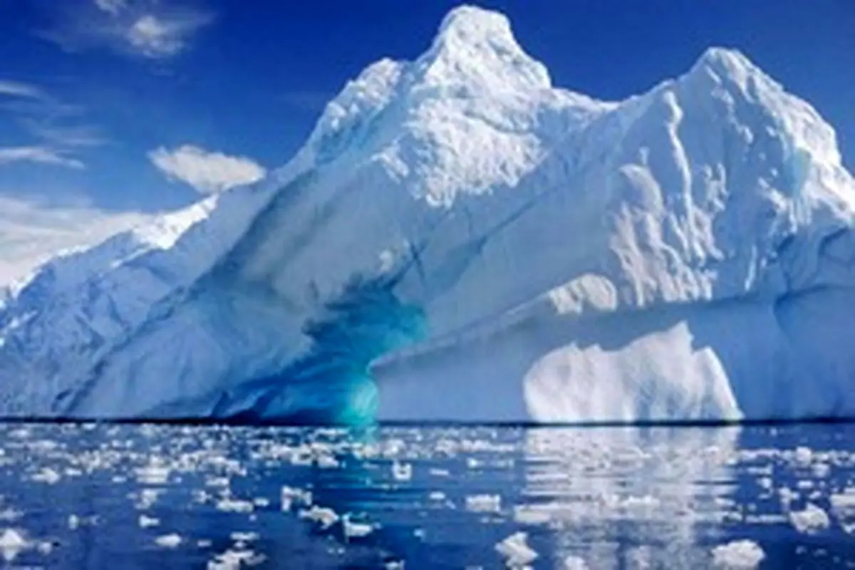 کشف موجودات ناشناخته و عجیب در قطب جنوب + عکس