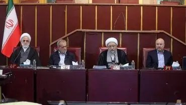 مجمع تشخیص مصلحت قانونگذار نیست و در روند قانونگذاری، بر حسب قانون اساسی در مواردی خاص نقطه نهایی تشخیص مصلحت است
