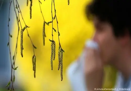 ۵ روش خانگی موثر برای رفع بوی بد انواع کفش‌ها