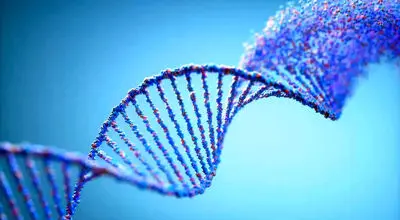 چرا سندرم تخمدان پلی‌کیستیک (PCOS) در بسیاری از خانواده‌ها نسل به نسل تکرار می‌شود؟