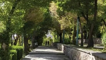 اجاره درخت برای پایان کار ساختمانی