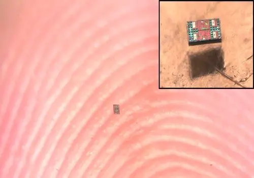 انقلاب در مقیاس میکرو: ربات‌هایی کوچک‌تر از نمک که خودشان فکر می‌کنند