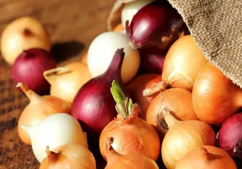 مقایسه خواص پیاز قرمز و سفید؛ کدام انتخاب سالم‌تری است؟