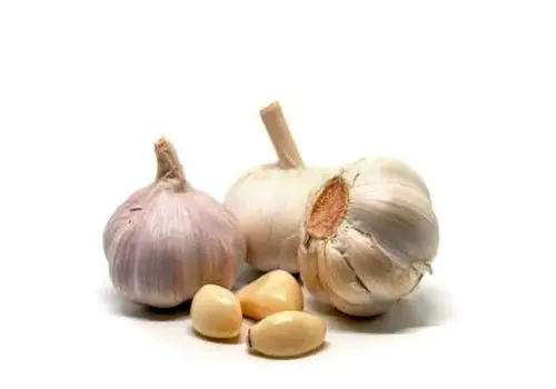 راز سلامتی؛ سیر خام بهتر است یا پخته؟

