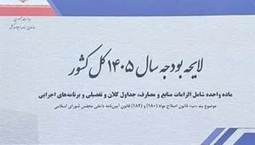 جزئیات بودجه ۱۴۰۵: مبنای محاسبه حقوق ورودی گمرکی اعلام شد