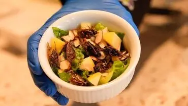 این سالاد چندشی در آمریکا محبوب است