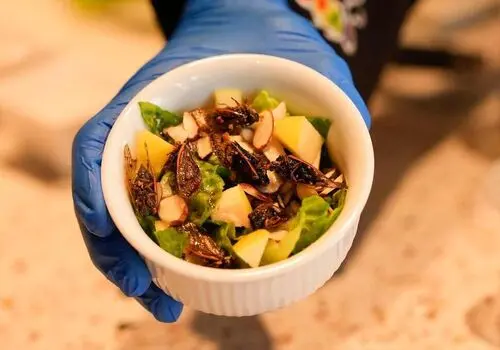 خشونت بی سابقه علیه دانشجویان معترض در کشورهای مدعی آزادی و دموکراسی+ فیلم‌