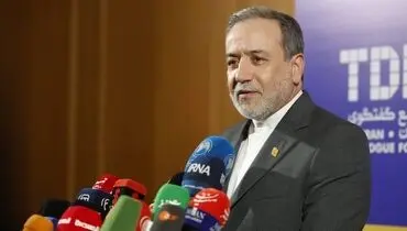 سخنان عراقچی در حاشیه اجلاس منع سلاحهای شیمیایی در لاهه
