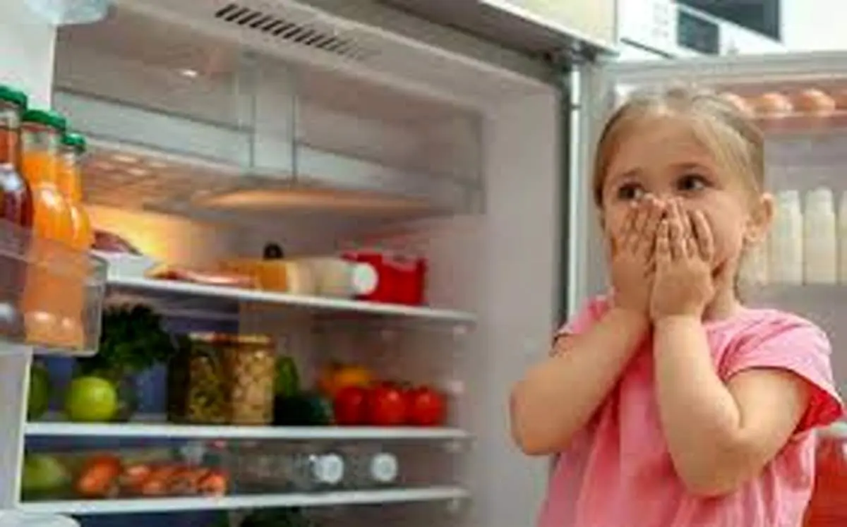  عواقب باز ماندن درب یخچال