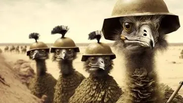 آبروریزی ارتش استرالیا در نبرد تاریخی با شتر مرغ ها+فیلم