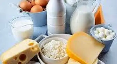 تداوم برخورد قاطع با گران‌فروشی لبنیات
