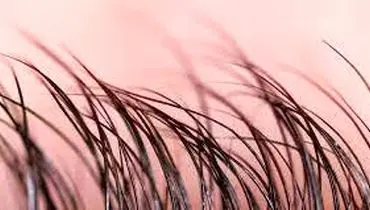 روغن‌هایی که رشد مو را افزایش می‌دهند