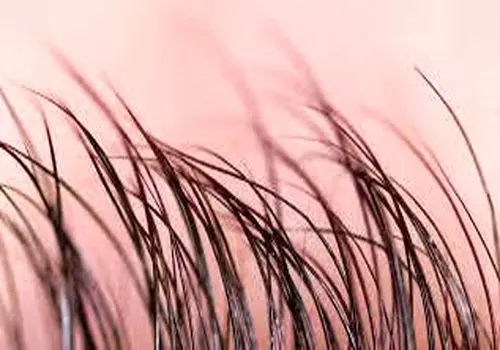 خوراکی‌های مفید برای سلامت و افزایش رشد مو

