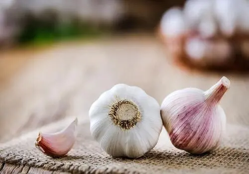 چگونه چربی خون را کاهش دهیم؟
