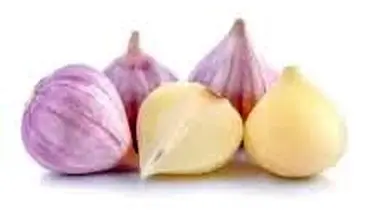 موسیر یک سوپر غذای شگفت انگیز برای کودکان
